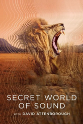 Secret World of Sound with David Attenborough – S01 (2024) Dual Audio {Hindi-English} WEB-Series 720p & 1080p WEB-DL Secret World of Sound with David Attenborough – S01 (2024) Dual Audio {Hindi-English} WEB-Series 720p & 1080p WEB-DL